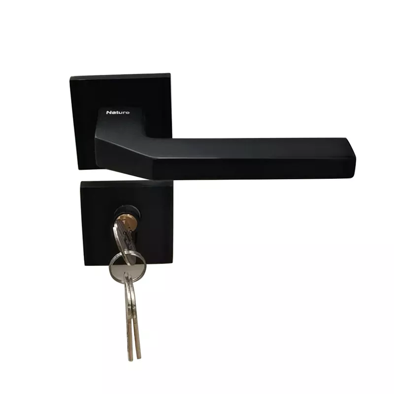 Door Locks